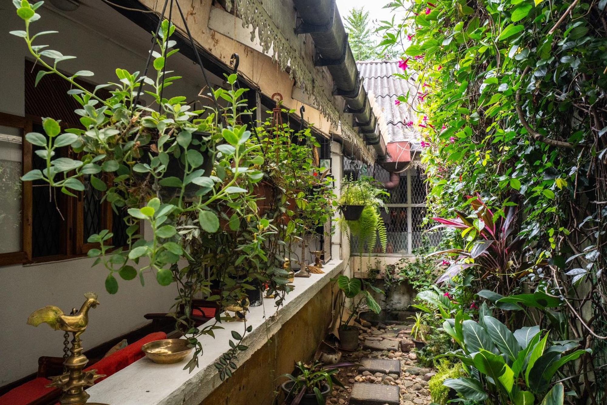 Kandy Inn Madugalle'S Family Guest House מראה חיצוני תמונה